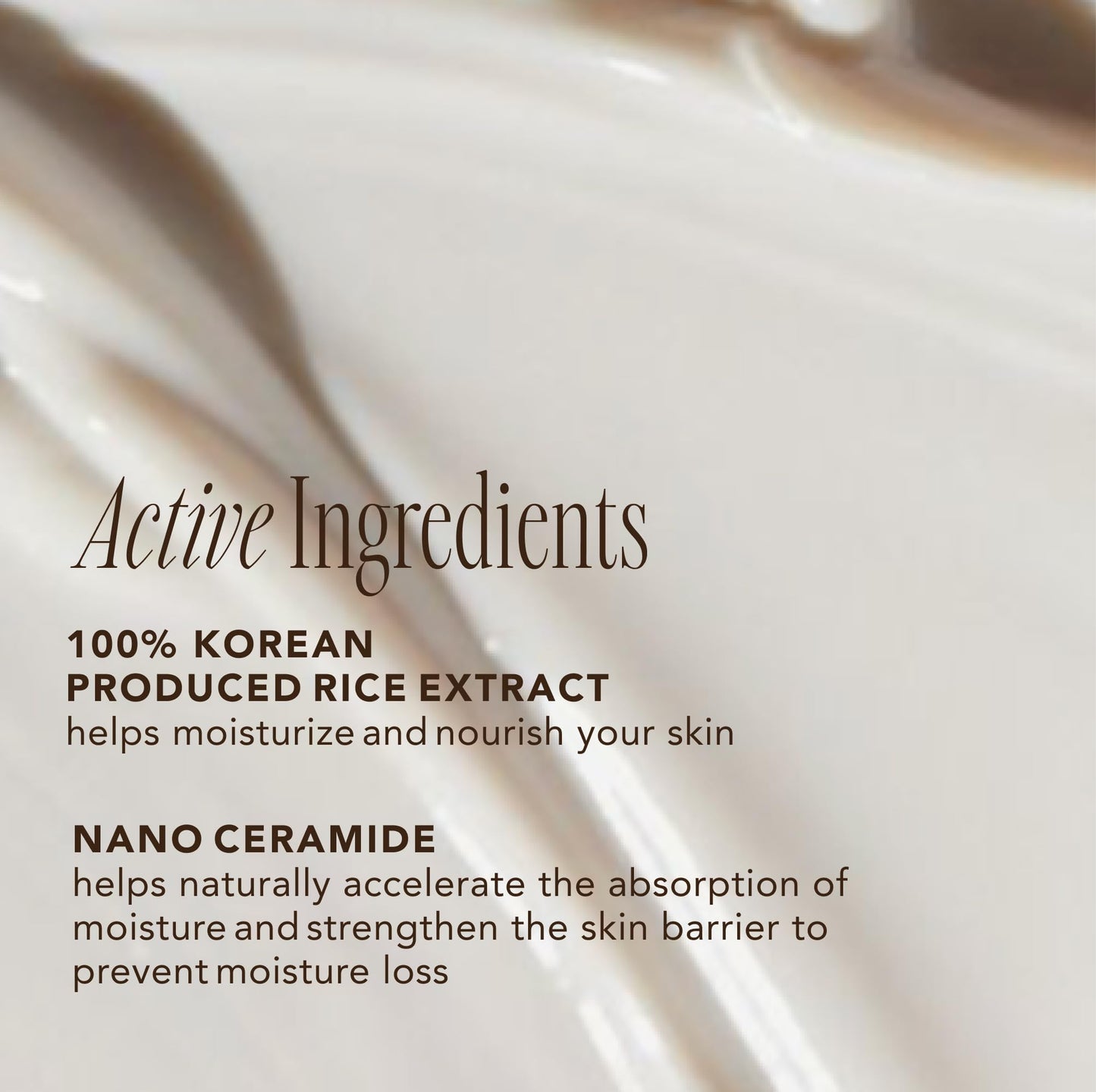The Face Shop Rice and Ceramide Moisturizing Cream,
