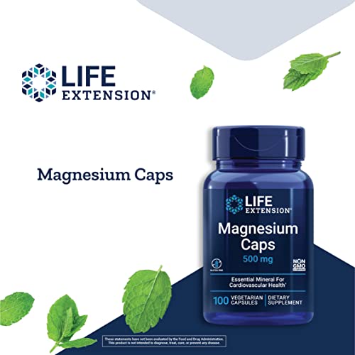 Life Extension Life Extension Magnesium 500 Mg 100 Vegetarian Capsules