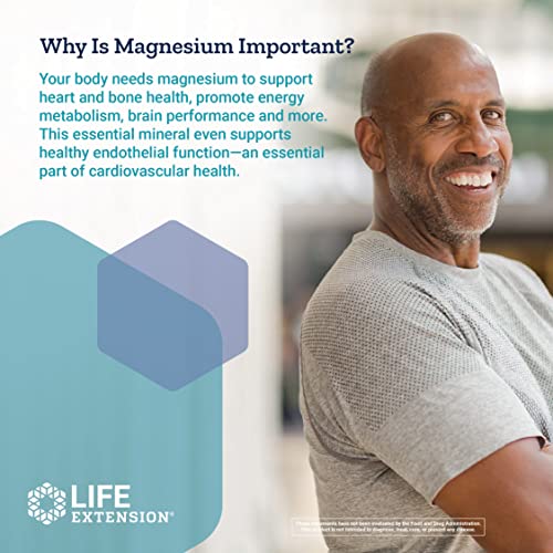 Life Extension Life Extension Magnesium 500 Mg 100 Vegetarian Capsules