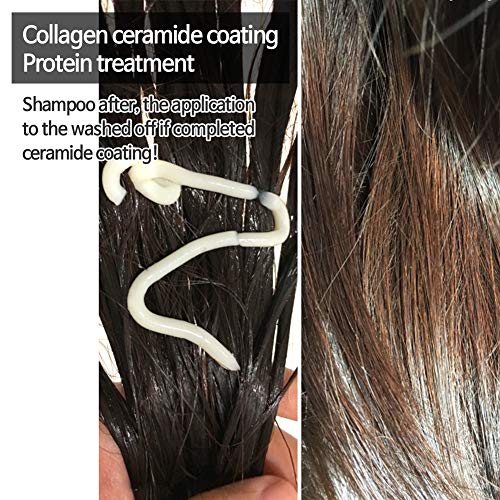 Elizavecca cer-100 Collagen Coating Protein Hair treatment